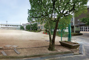 桑山中学校（約910ｍ～930ｍ・徒歩約12分）