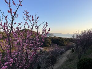 冠山総合公園まで約1110ｍ（徒歩14分）