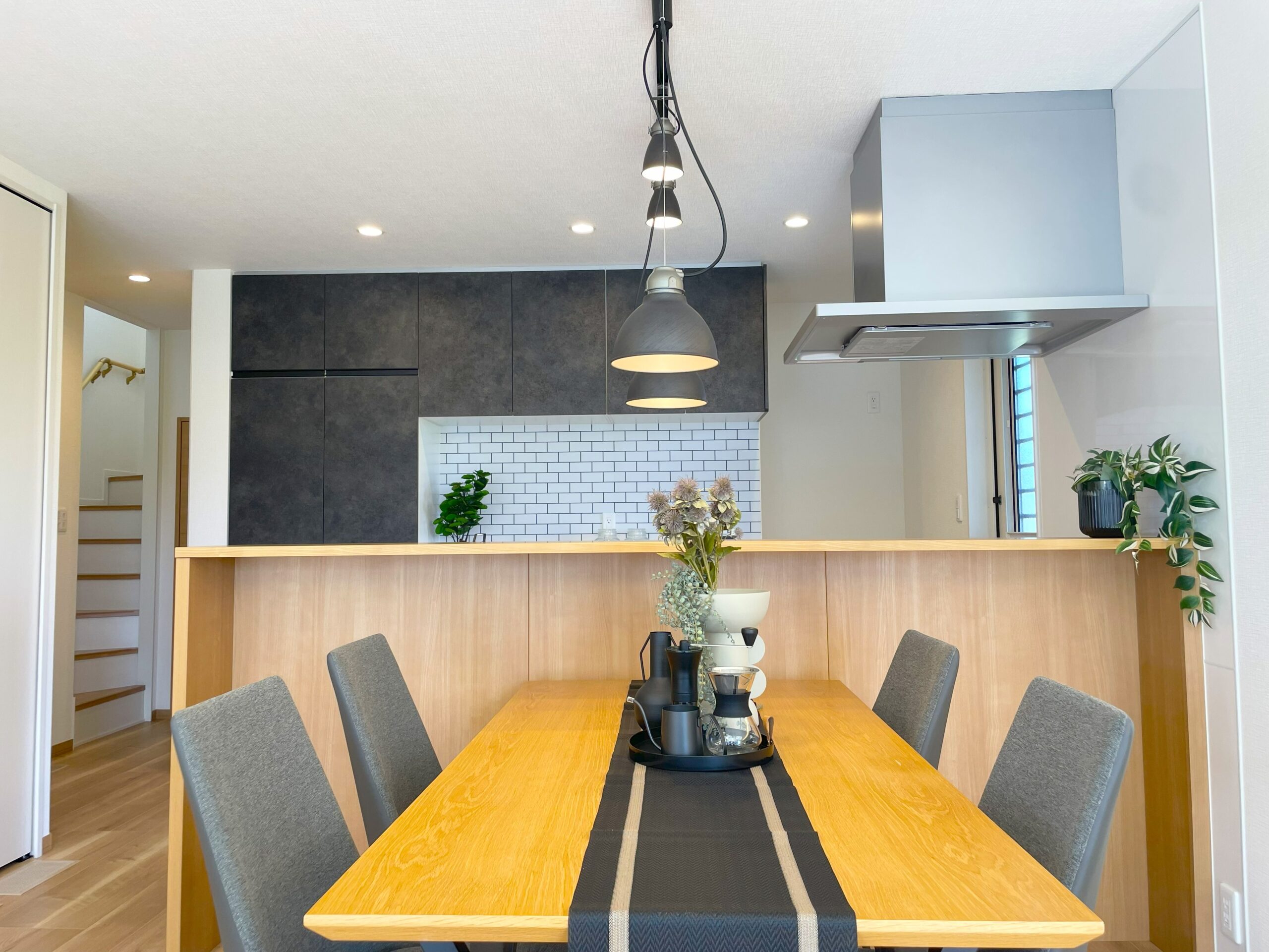 ダイニング【2025/10/11】撮影