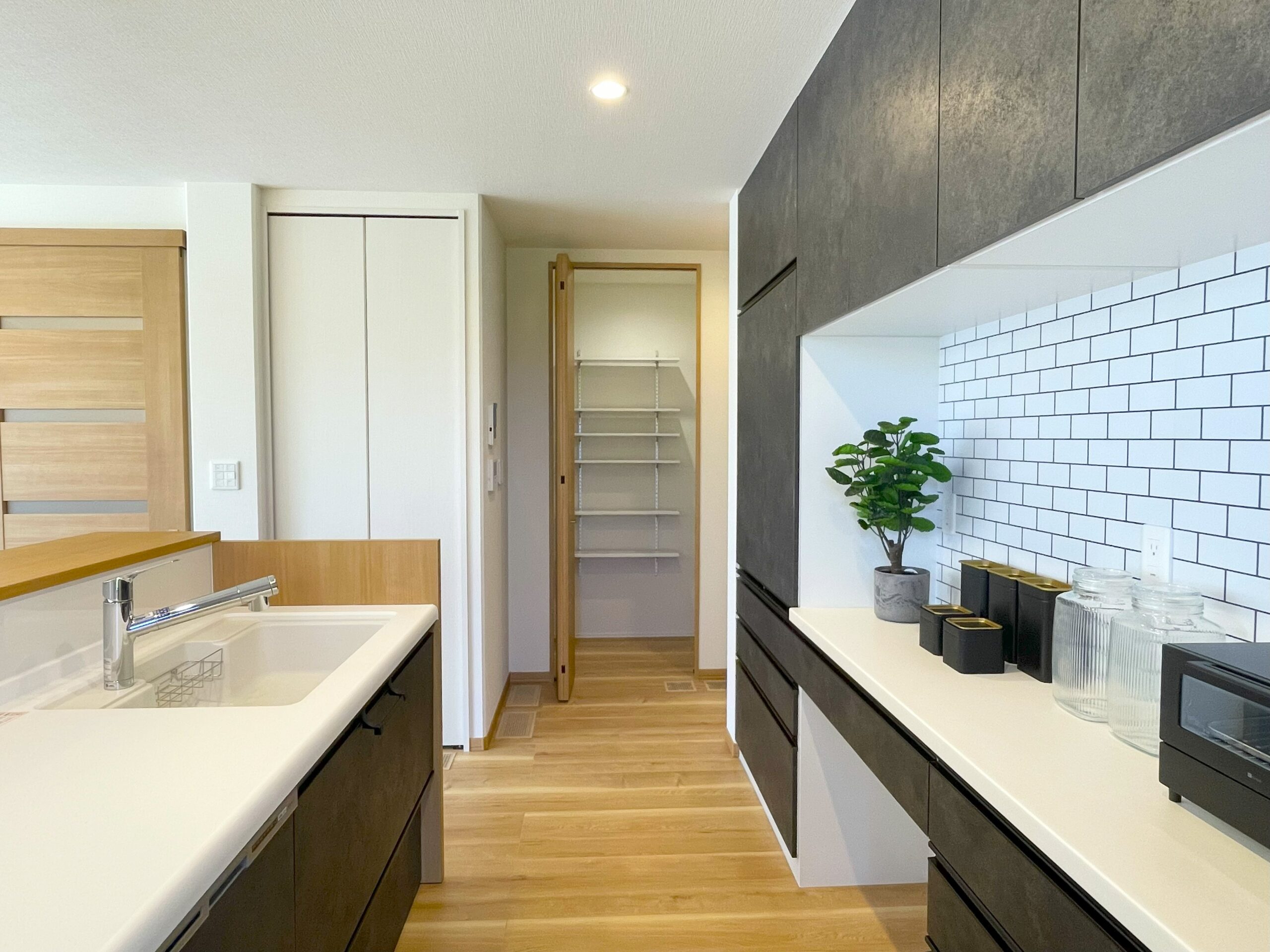 パントリー【2025/10/11】撮影