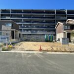 15号地