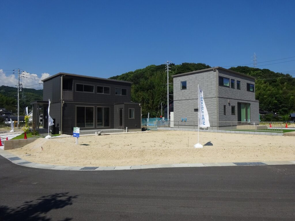 12号地