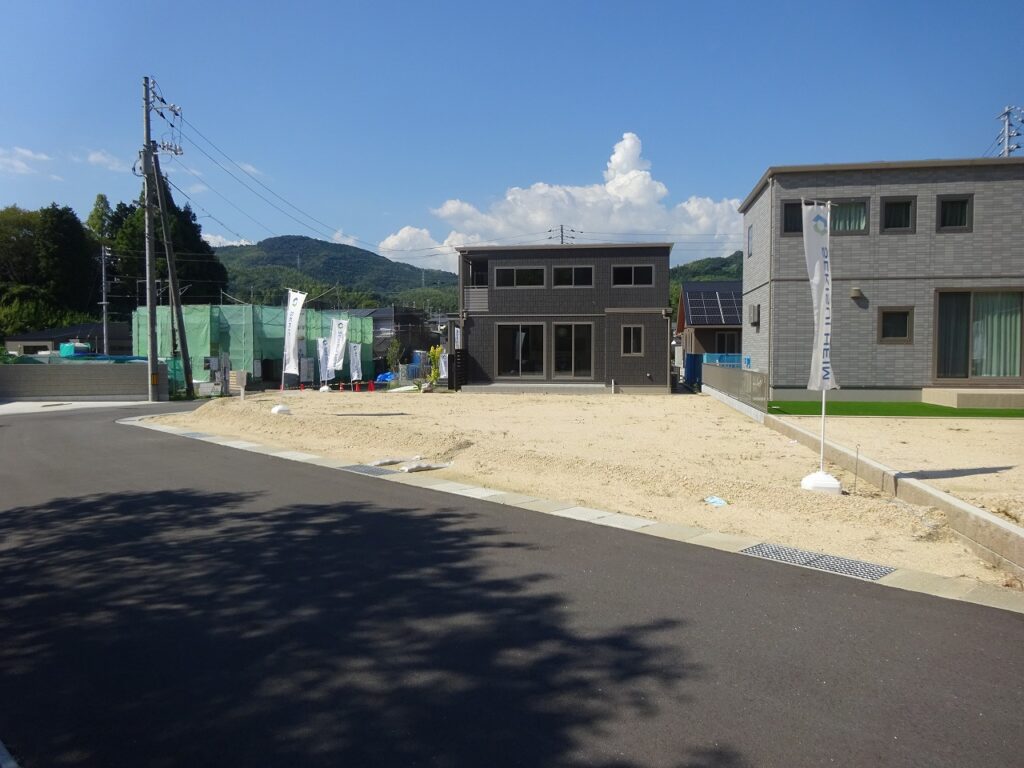 12号地