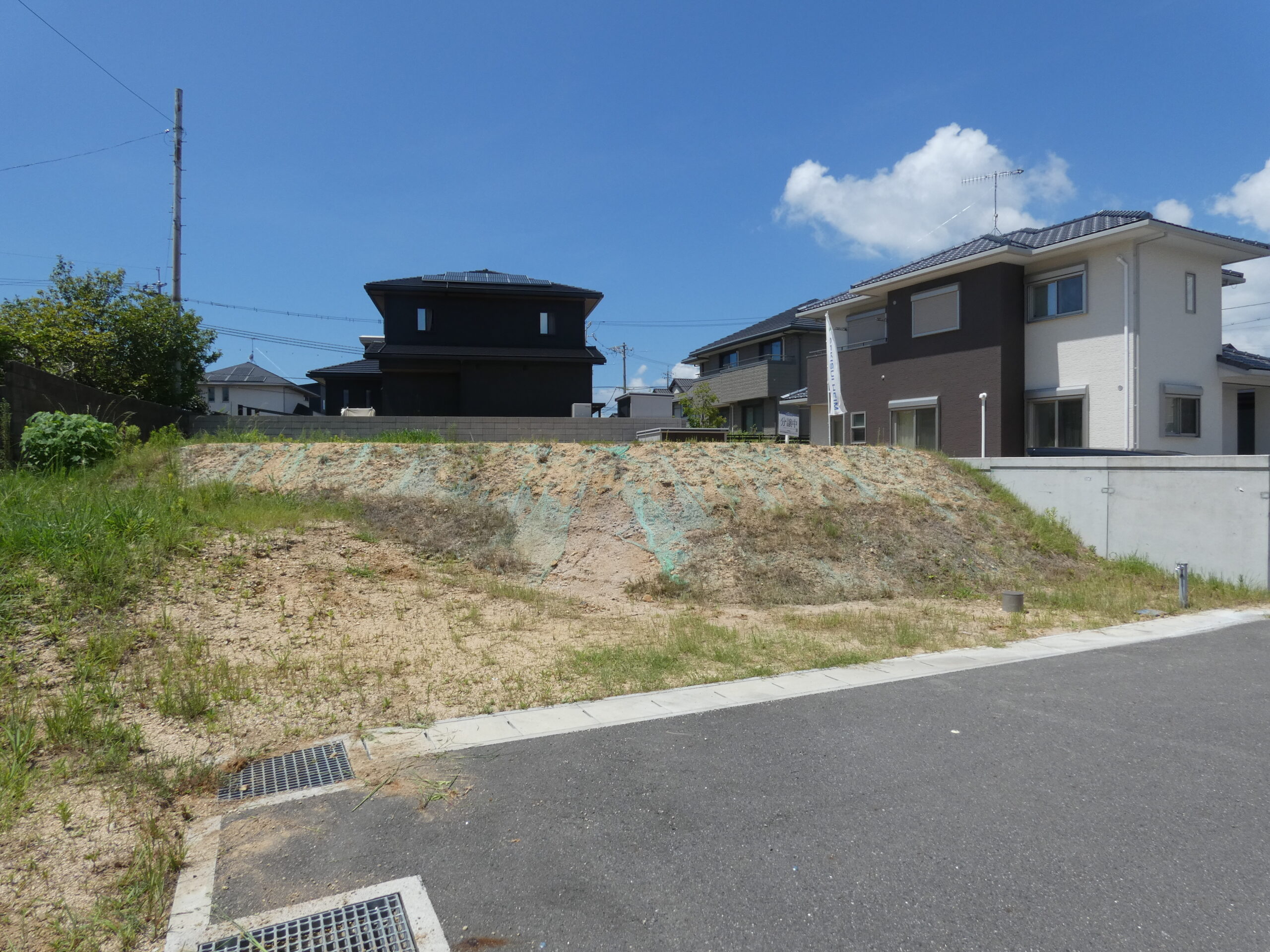 7号地