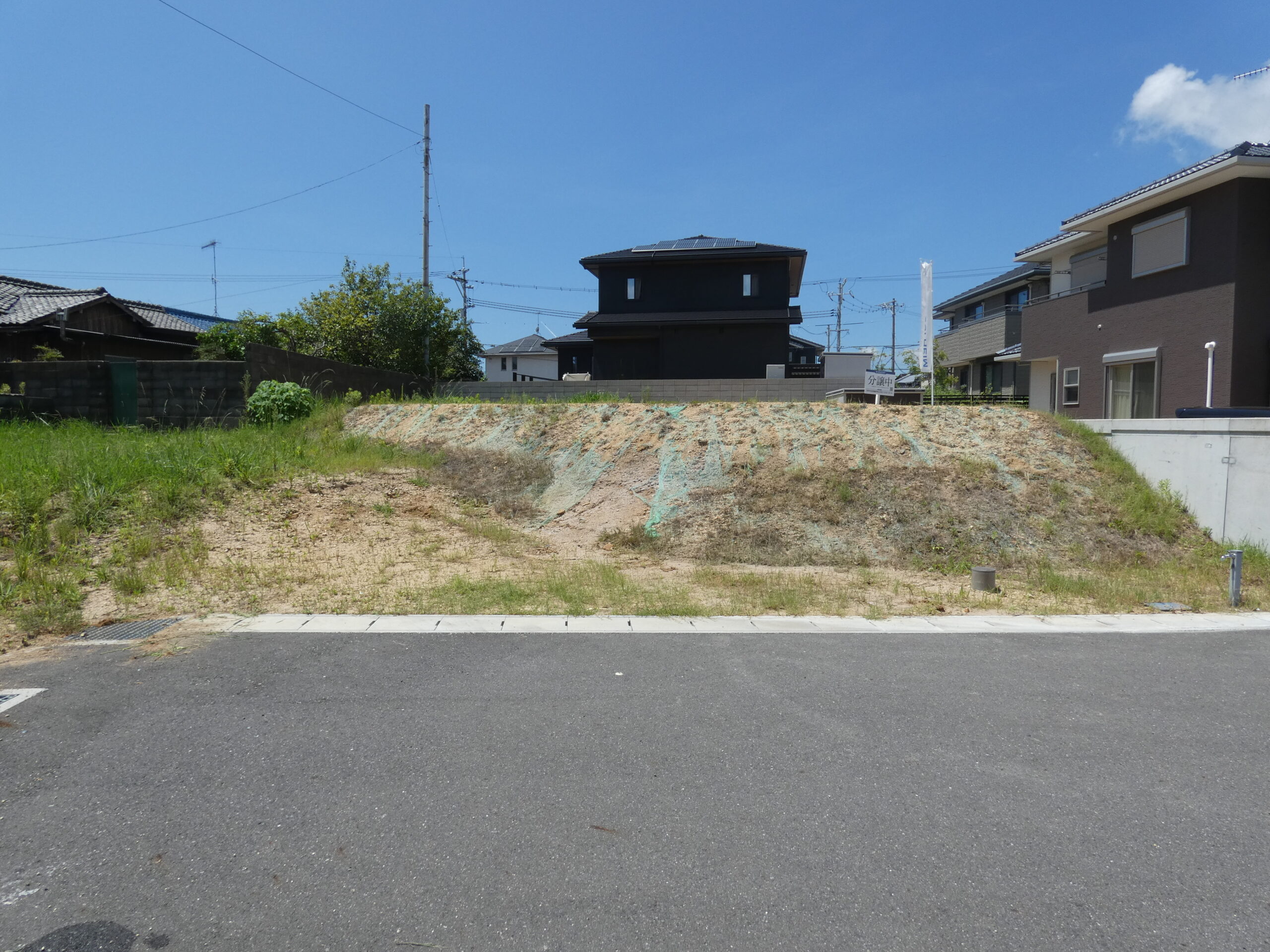 7号地