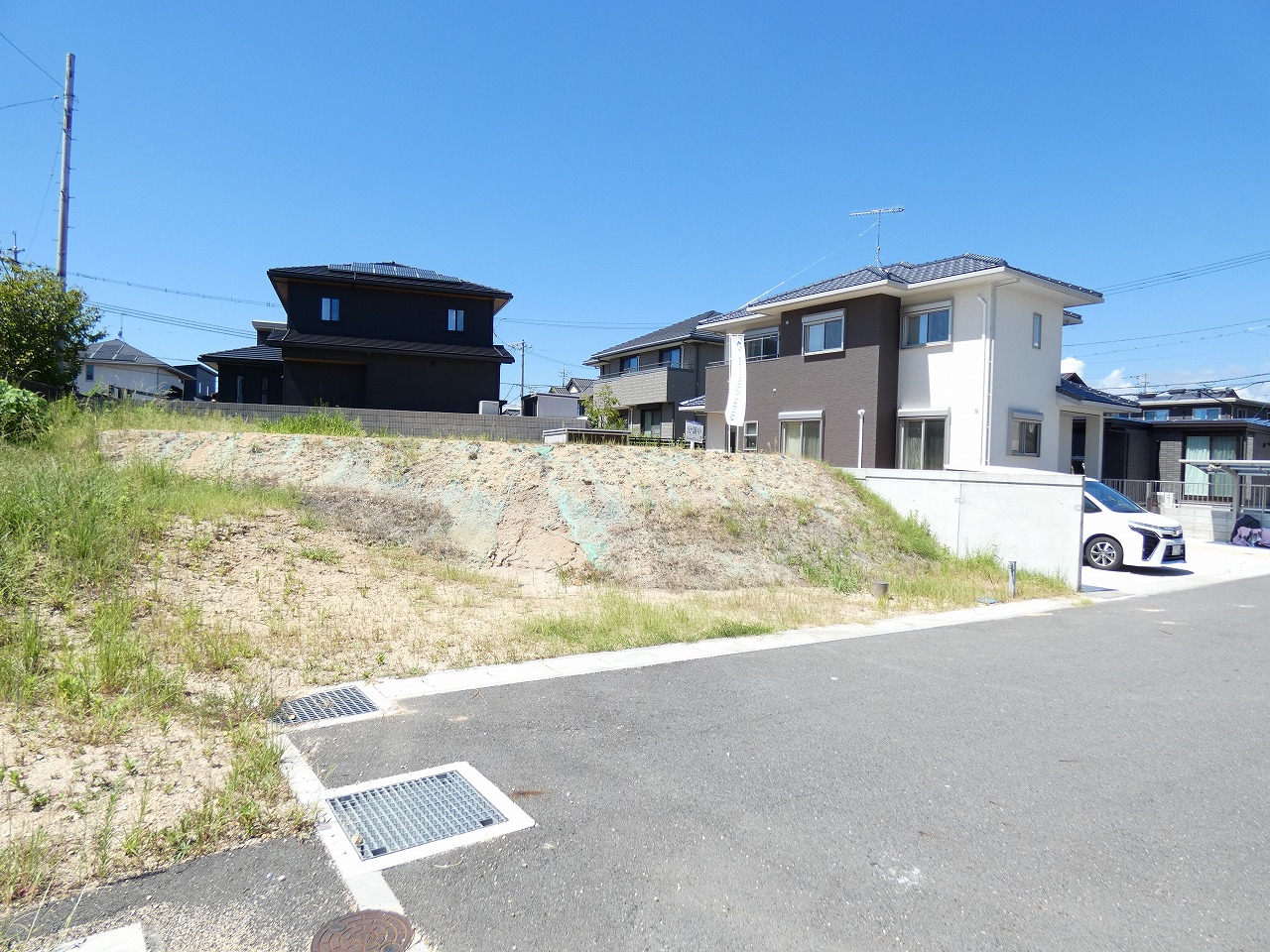 7号地