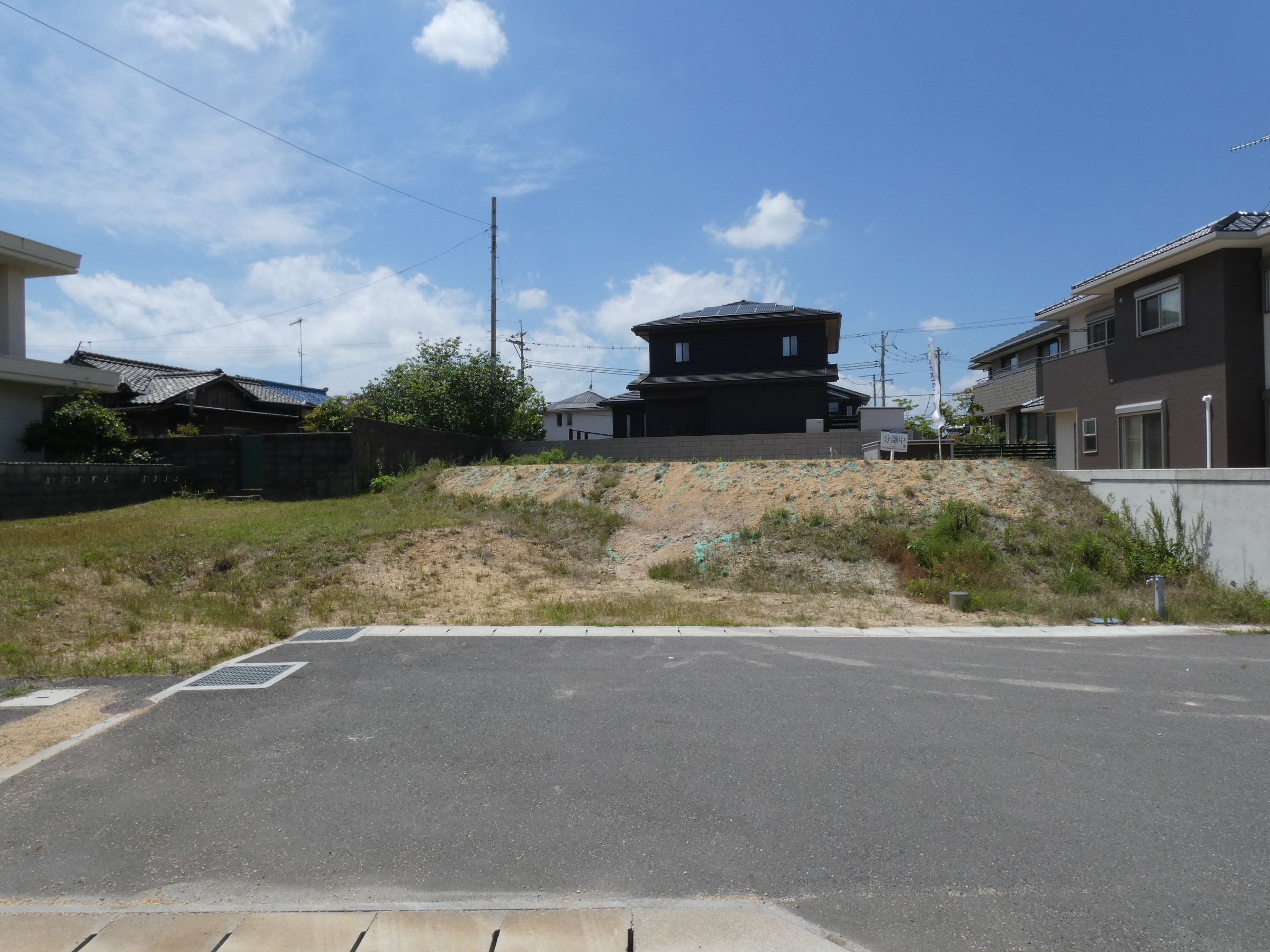 7号地