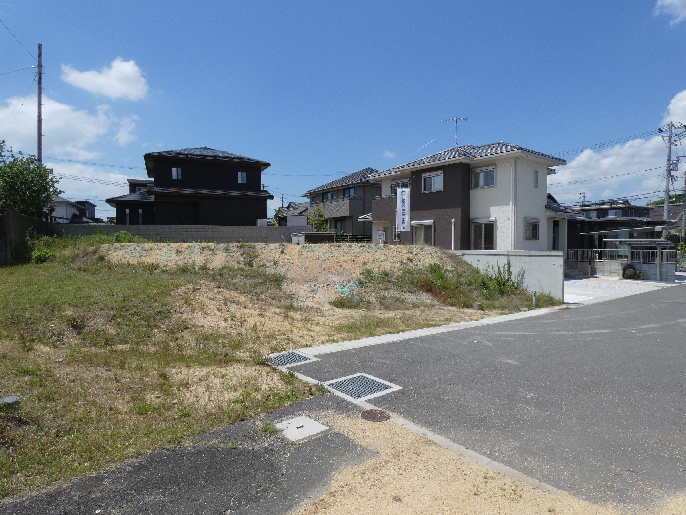 7号地