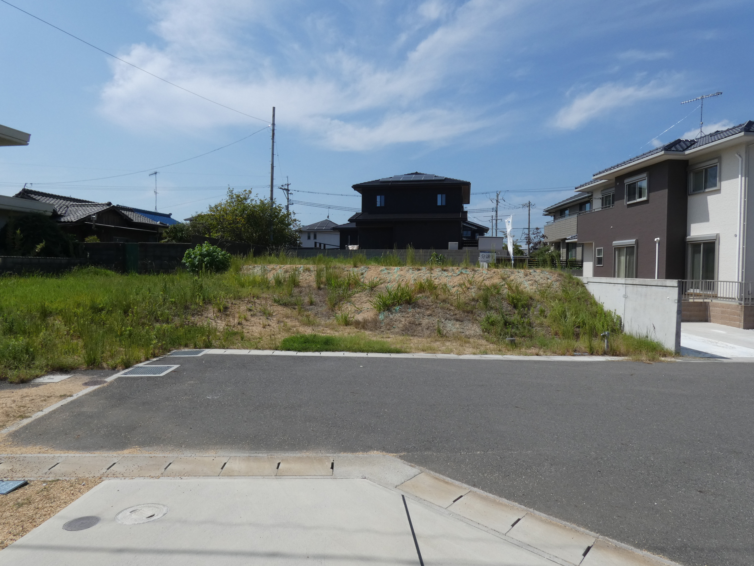 7号地