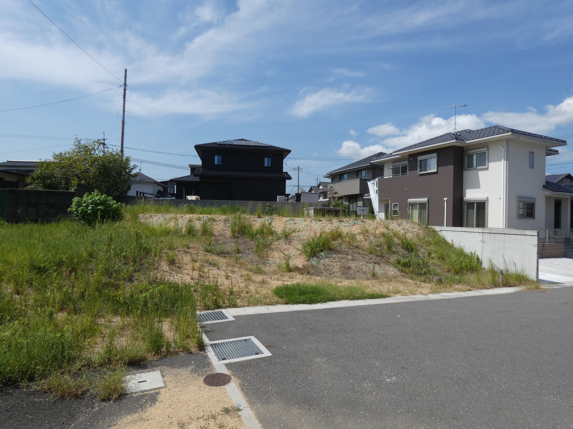 7号地