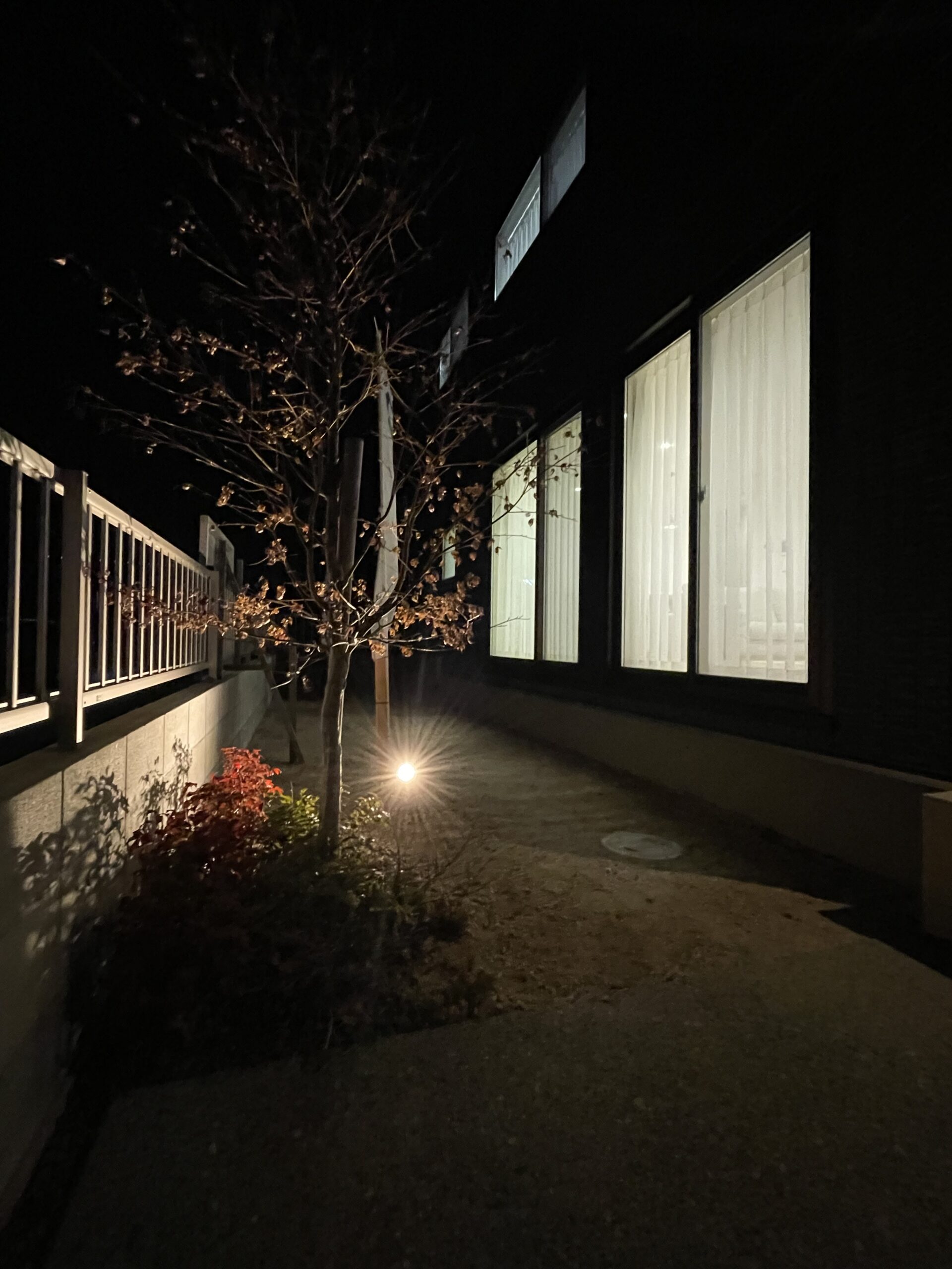 夜になると植栽がライトアップされます♪