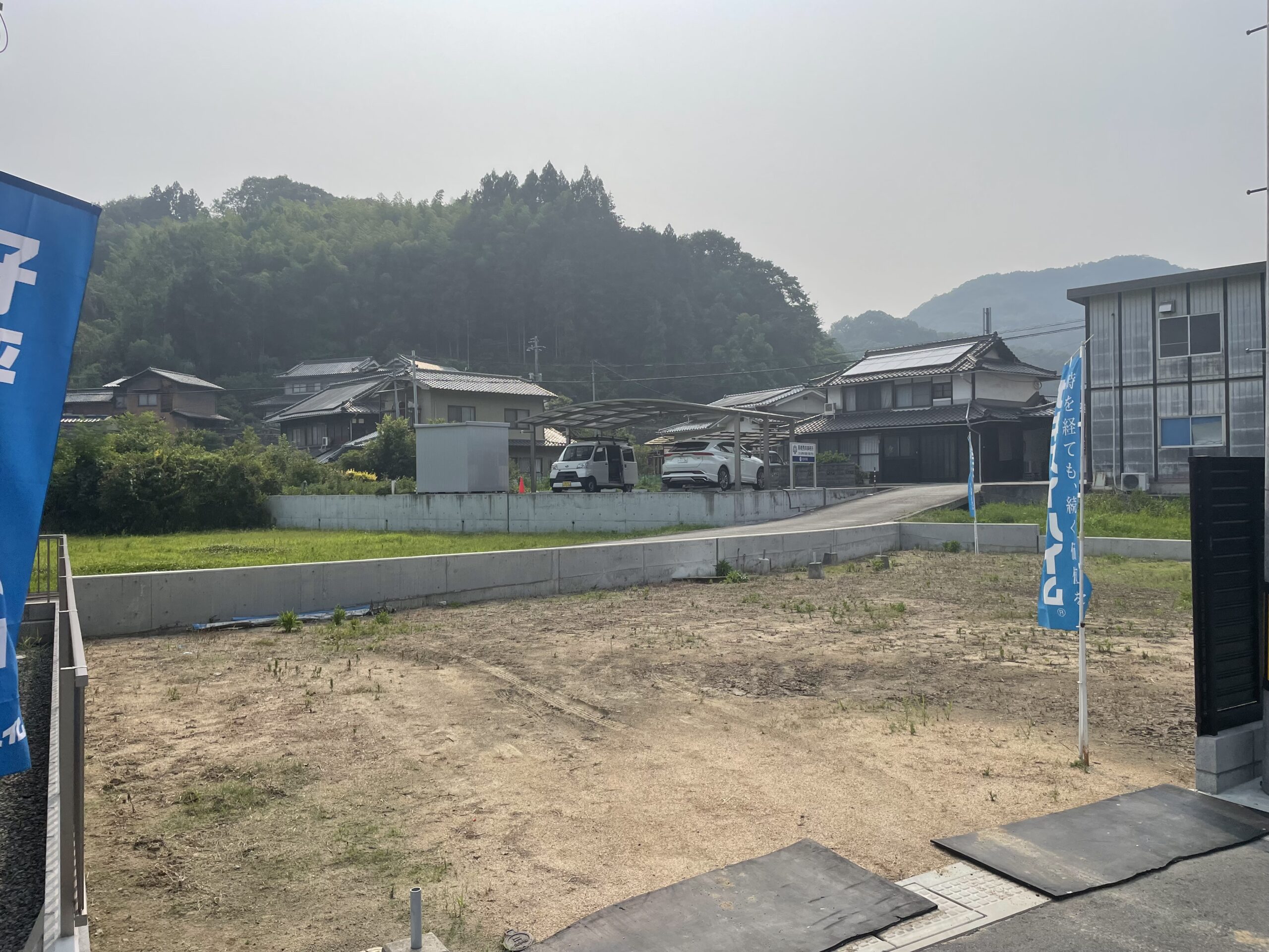 13号地　2025/7/4撮影