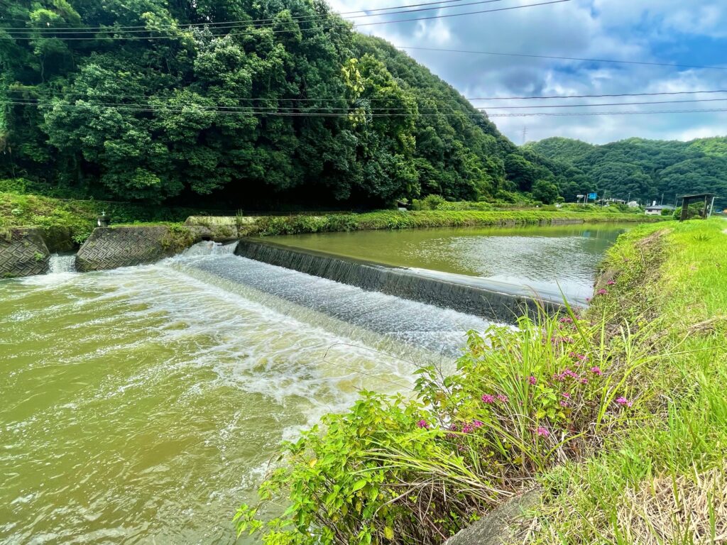 ※2023年7月2日撮影　周辺には豊かな自然の風景が有ります