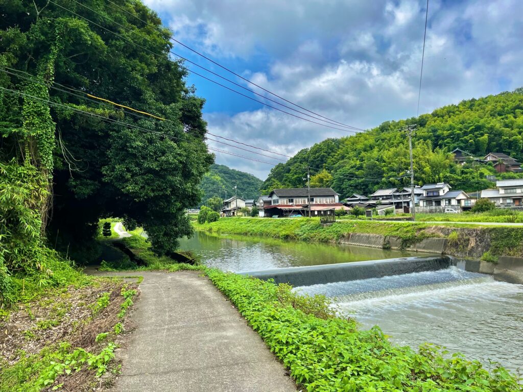 ※2023年7月2日撮影　周辺には豊かな自然の風景が有ります