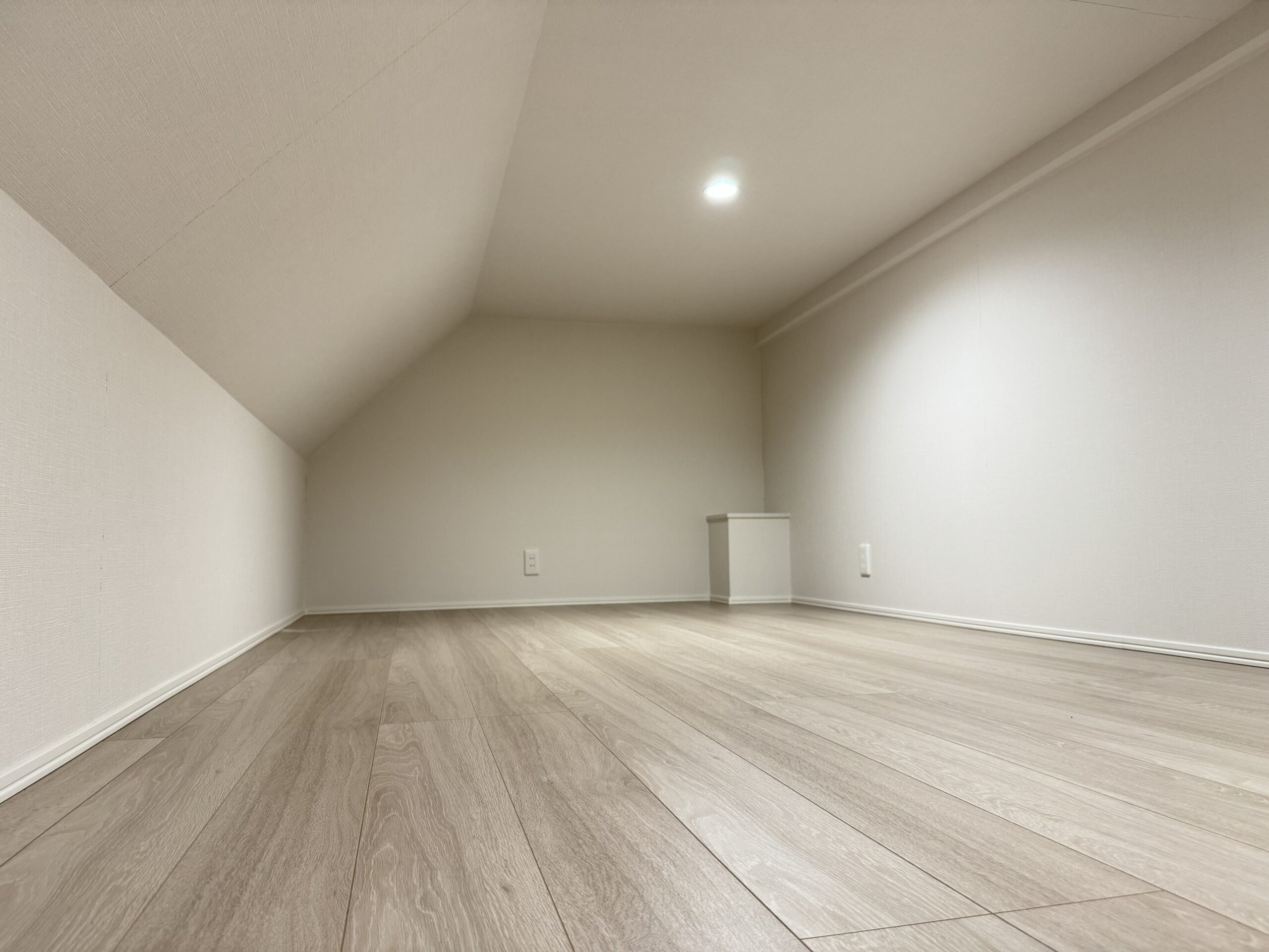 小屋裏　※2026年3月2日撮影