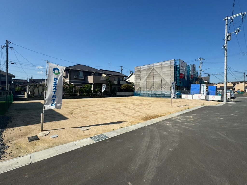 3号地4号地