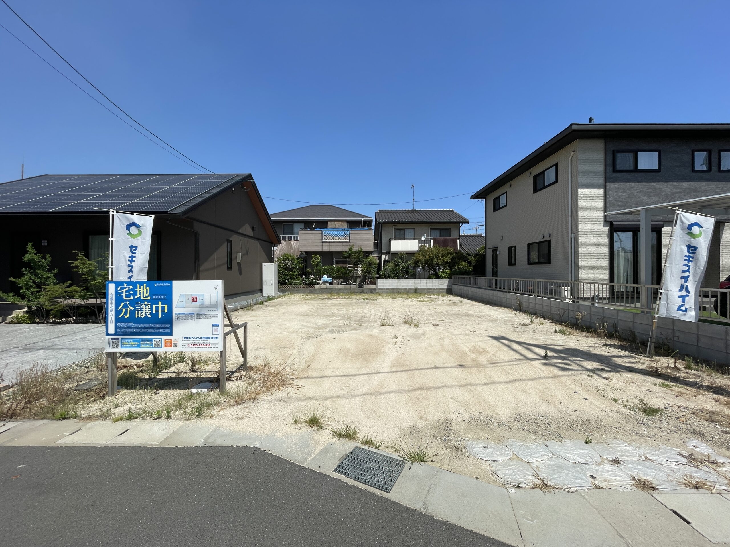 3号地(撮影日2026/05/15)