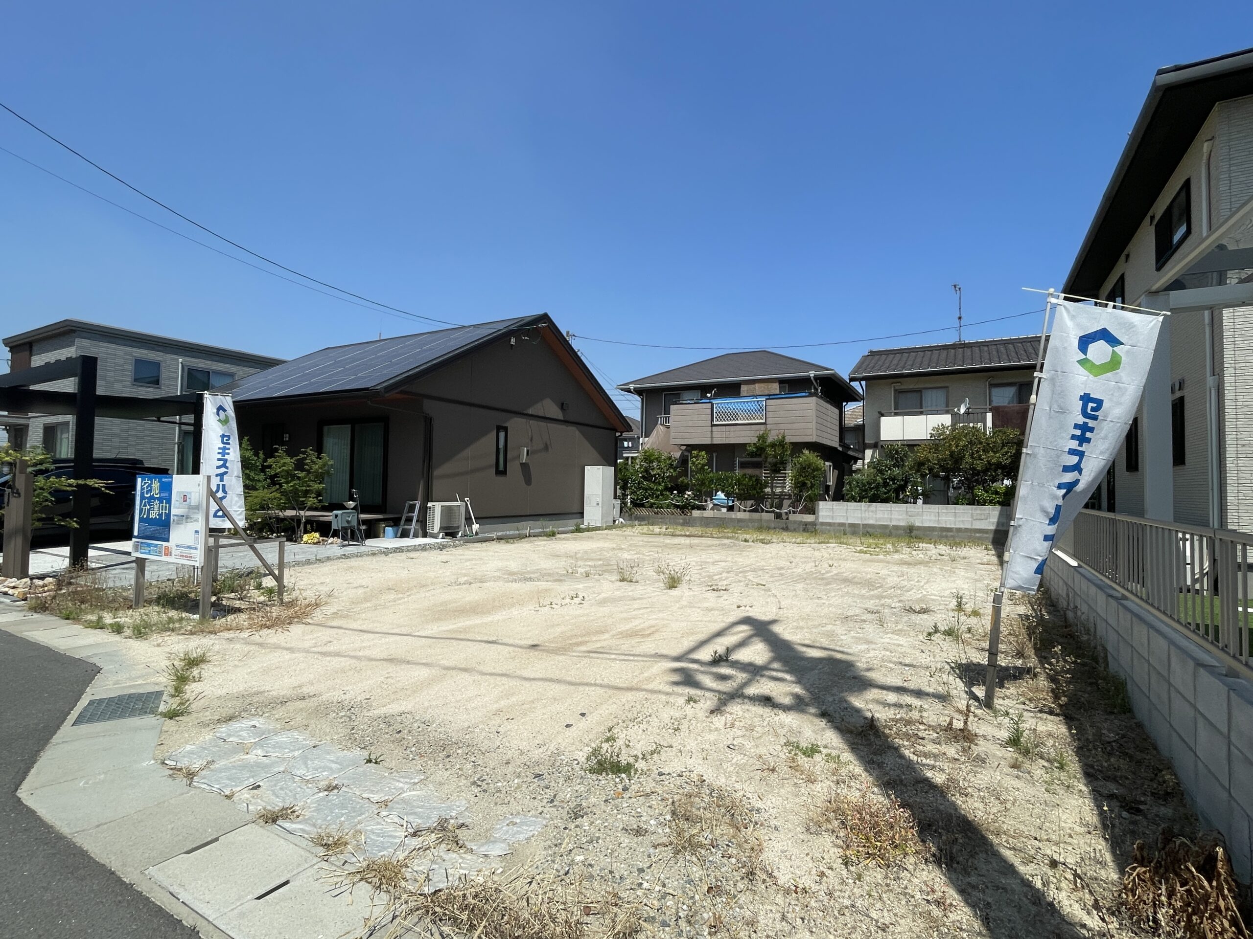 3号地(撮影日2026/05/15)