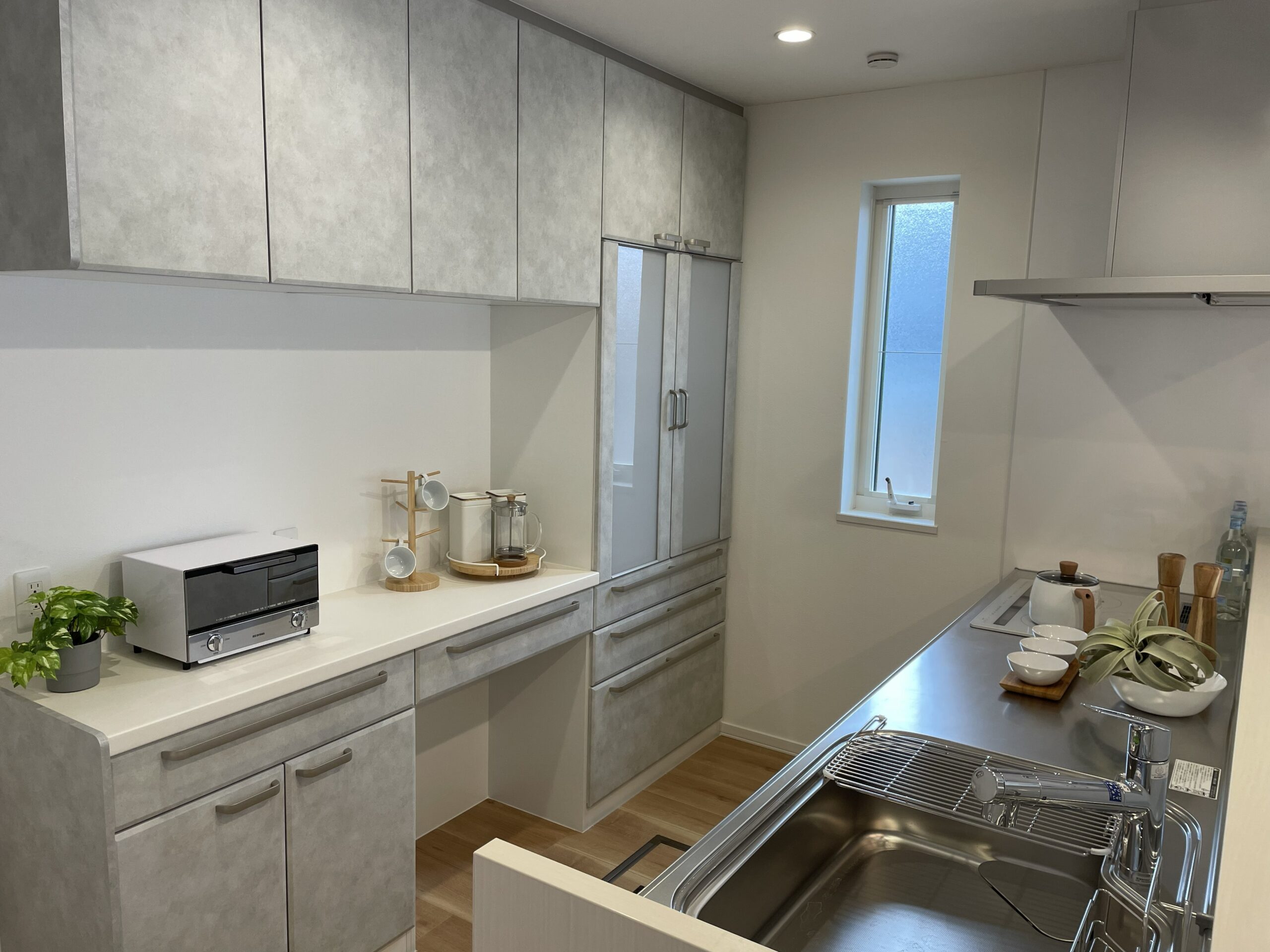 清潔感のある色調のキッチン【2026/2/15】