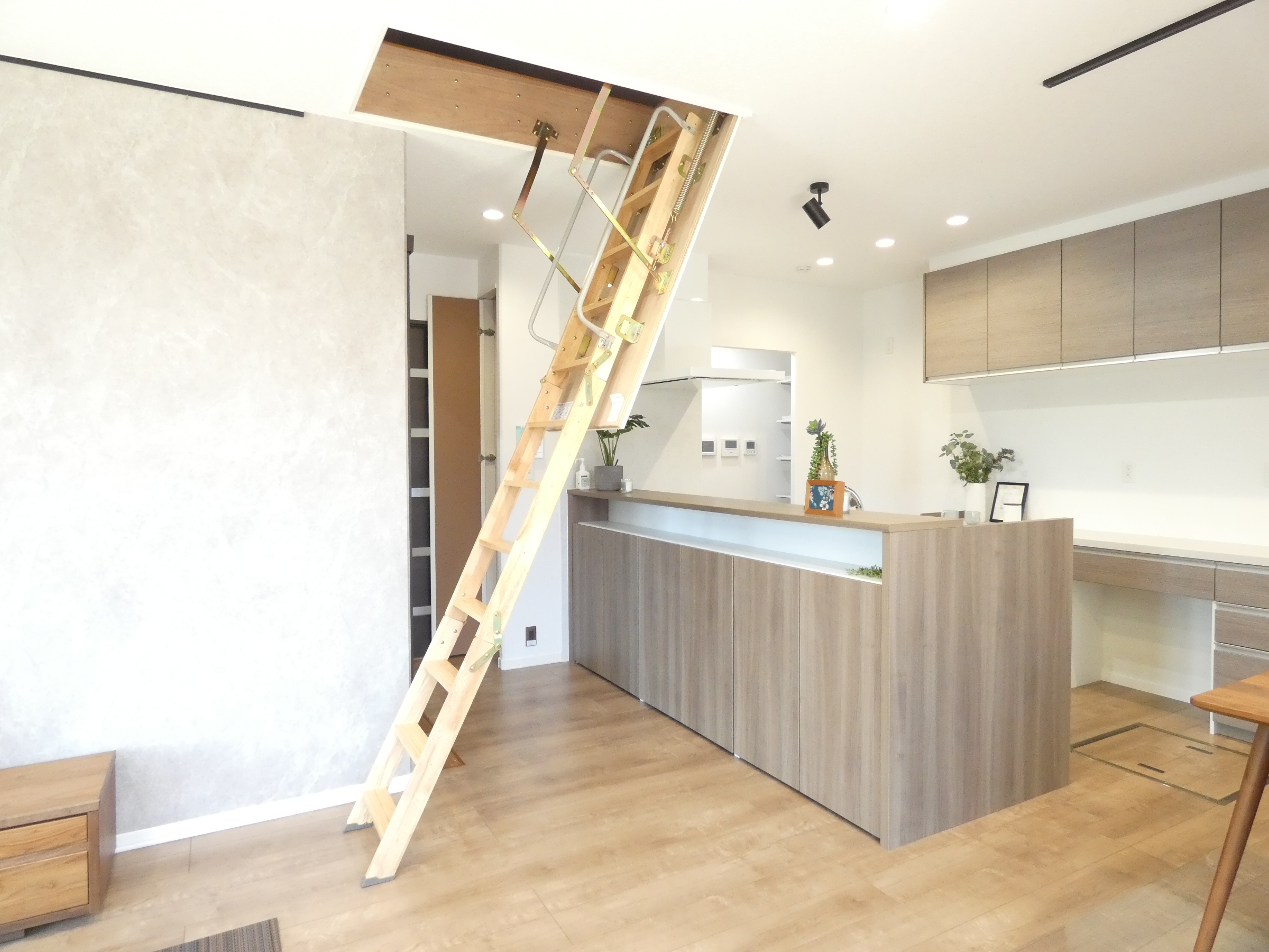 小屋裏収納へ上がる折り畳み階段。（2026.4撮影）