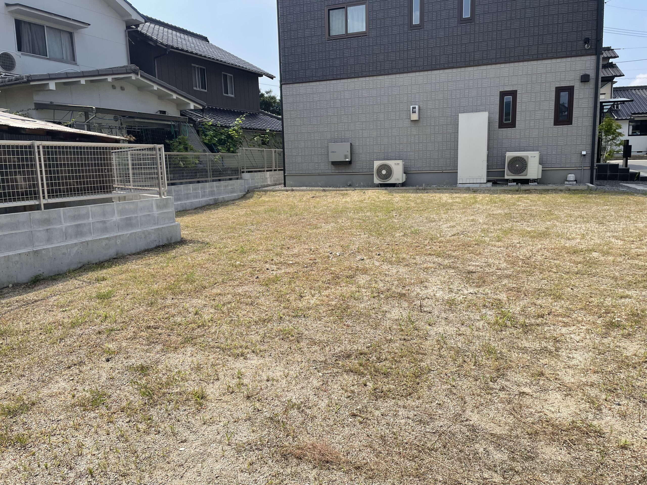 ※2026年7月20日撮影　9号地