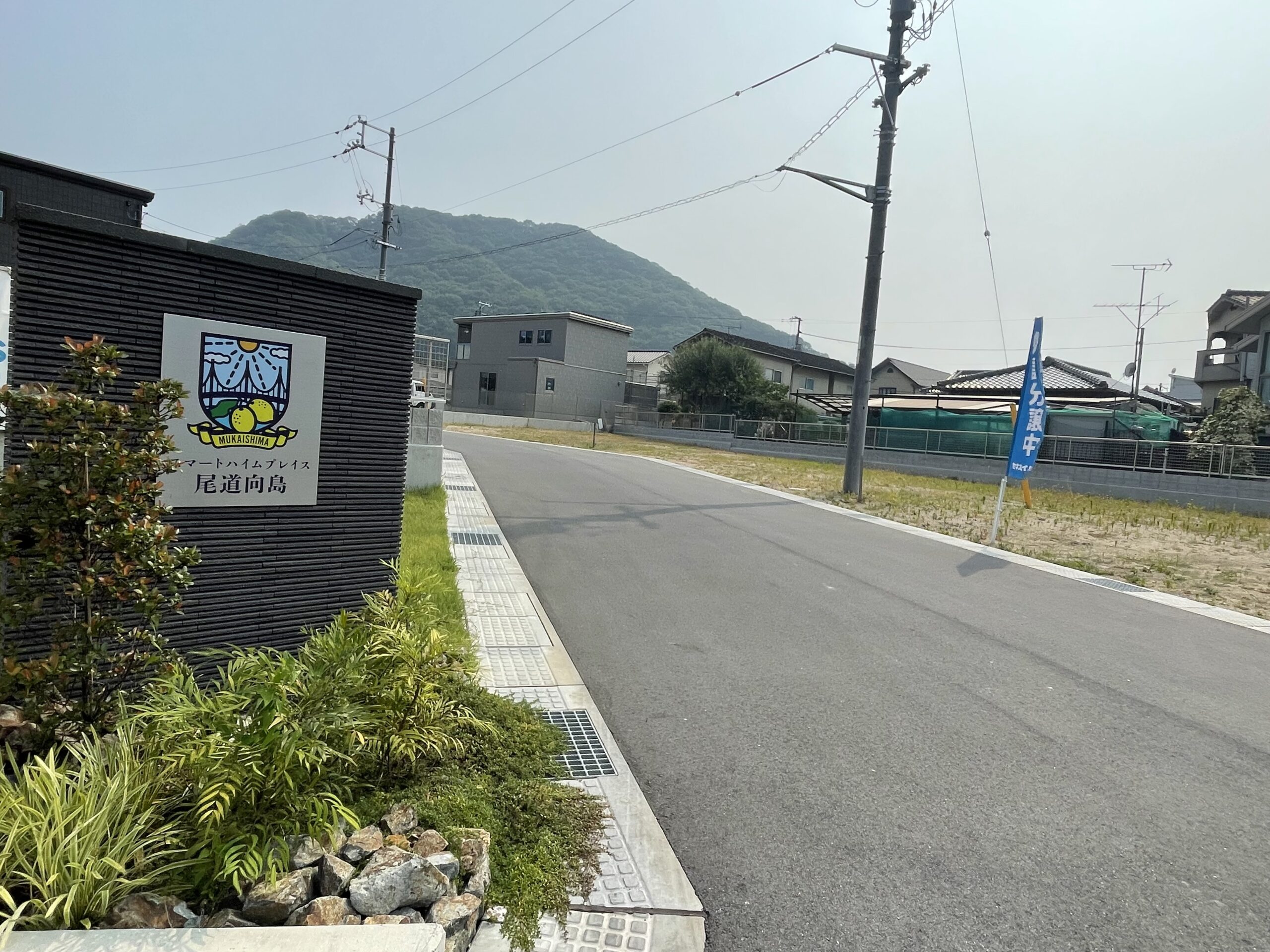 ※2025年7月4日　分譲地全体写真