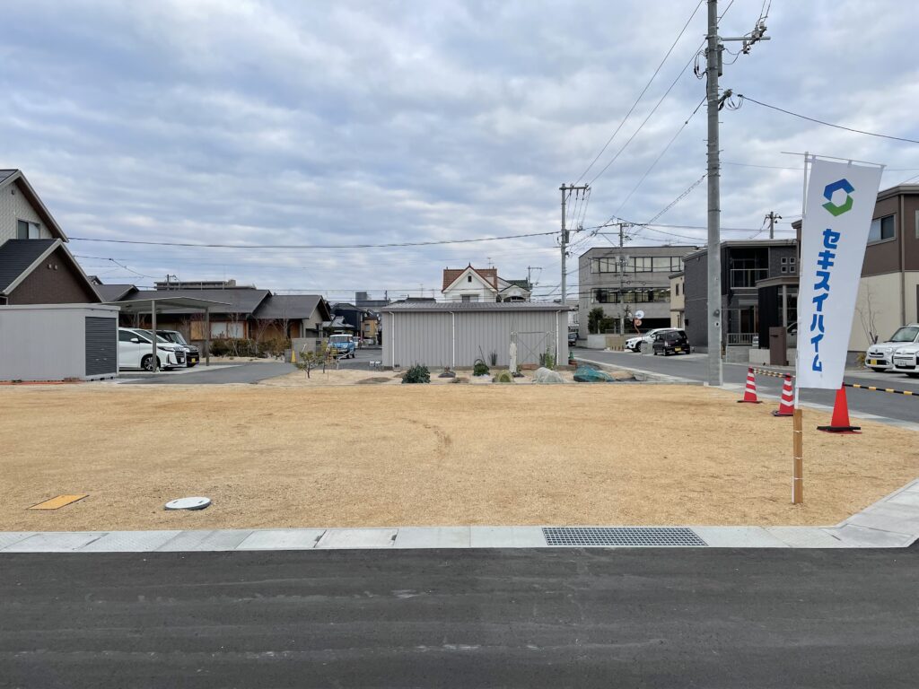 2号地（2024年1月8日撮影）