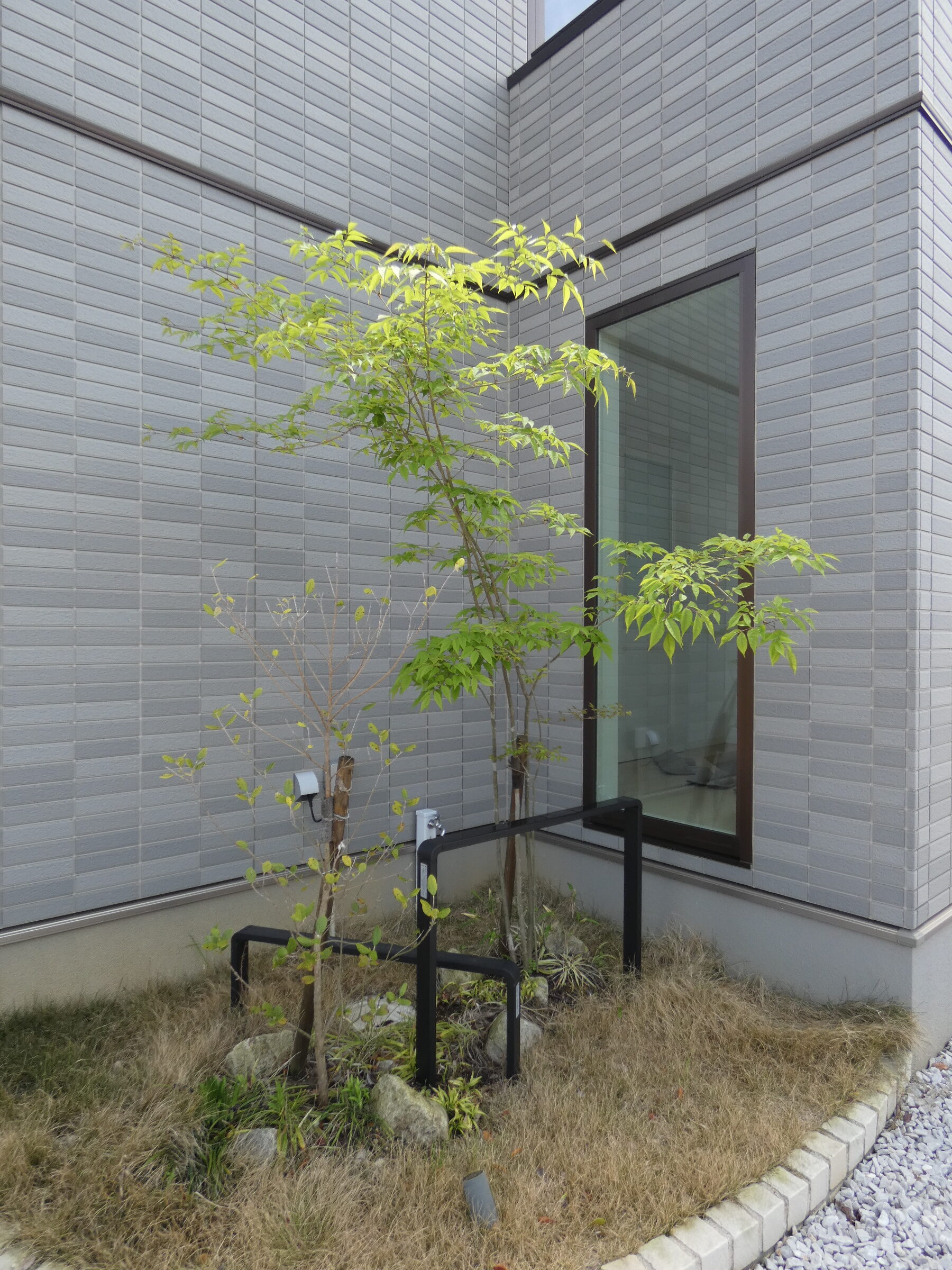 外構のワンポイント！（2026.4撮影）