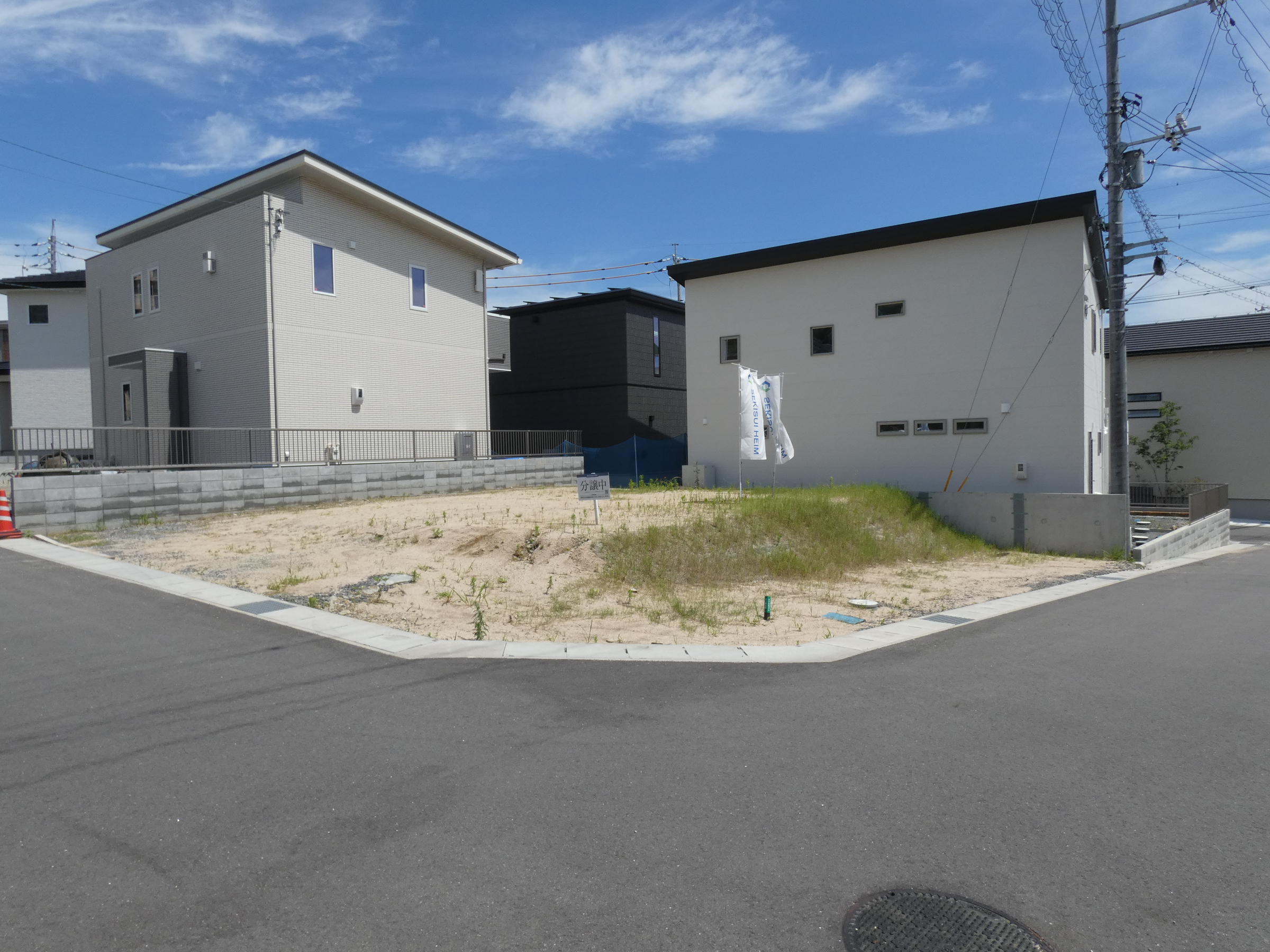 19号地（2026年7月撮影）