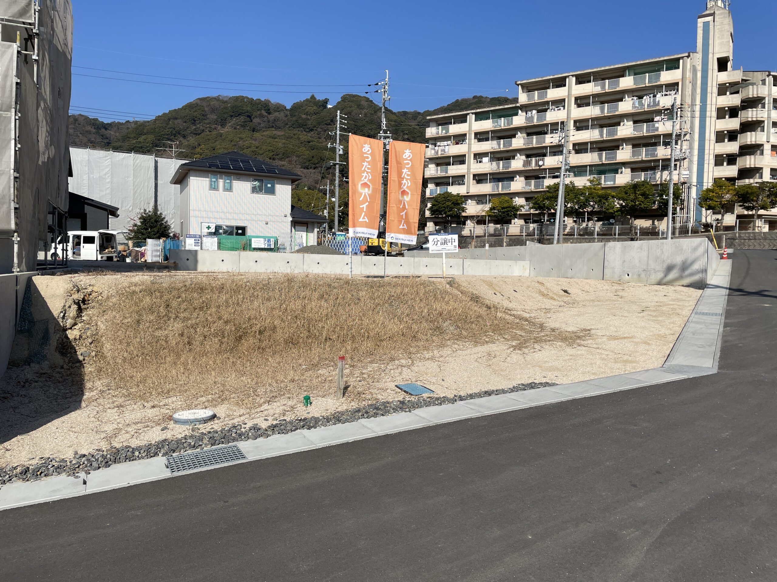 17号地（2026年1月撮影）