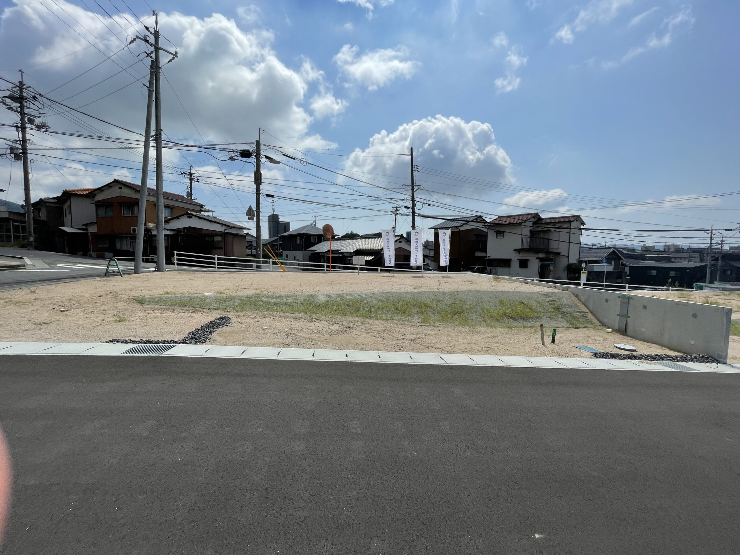 1号地（2025年8月撮影）