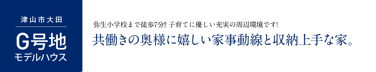 g号地モデルハウス スケルトン階段とリビング吹抜が開放的なプラン。