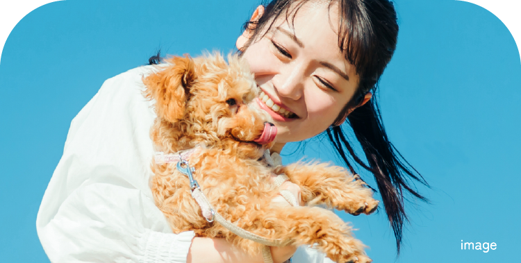 青空の下、小型犬を優しく抱き上げて微笑む女性の写真