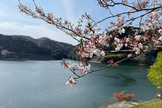 末武川ダム公園