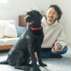 男性が犬を笑顔で見ている写真