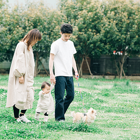 若い夫婦が赤ちゃんと犬と散歩している様子