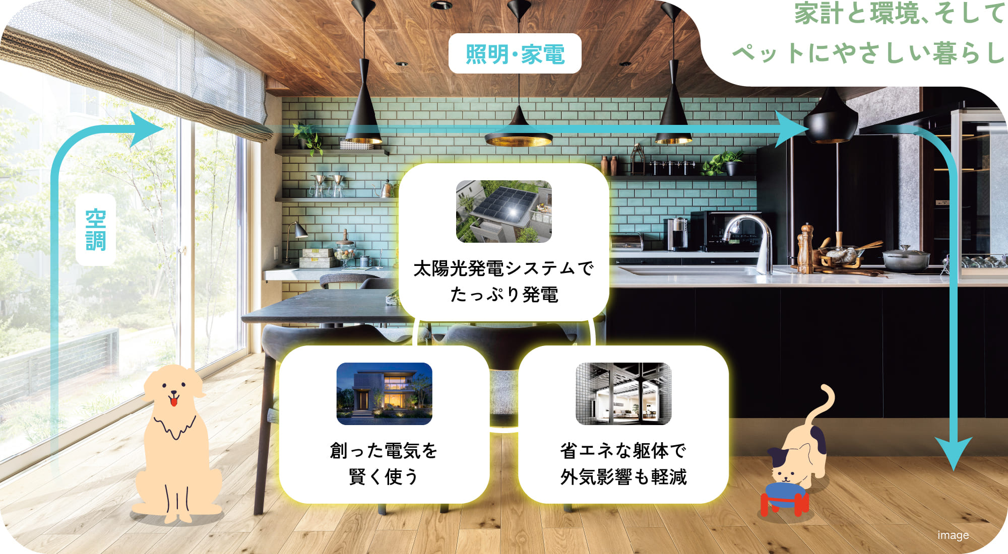 家計と環境、そしてペットにやさしい暮らし