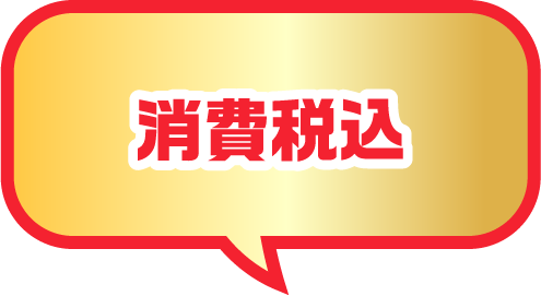 消費税込