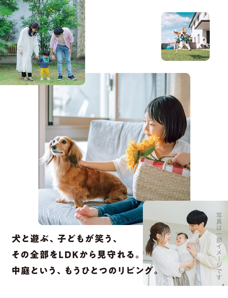 犬と遊ぶ、子どもが笑う、その全部をLDKから見守れる。中庭という、もうひとつのリビング。写真は一部イメージです